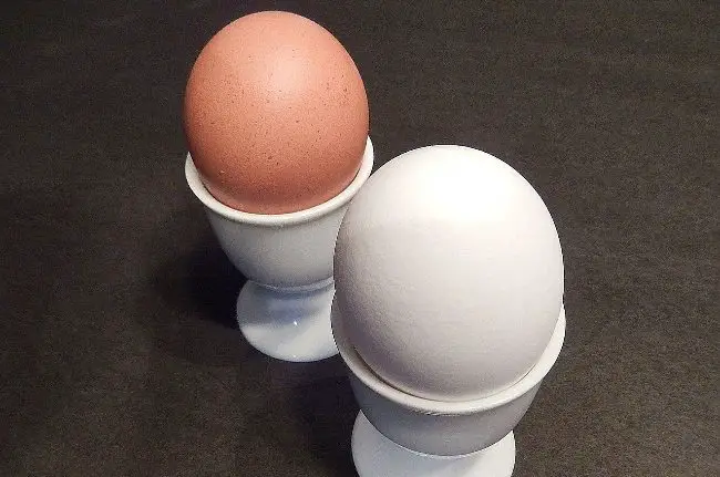 Difference Between Brown And White Eggs