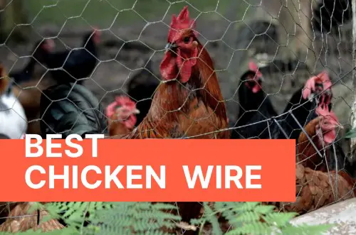 best chicken wire