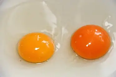 Egg Yolk Color Chart Good And Bad Egg Yolk Colors