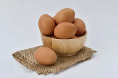 isa brown chicken eggs