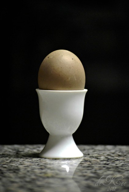 Cayuga duck eggs