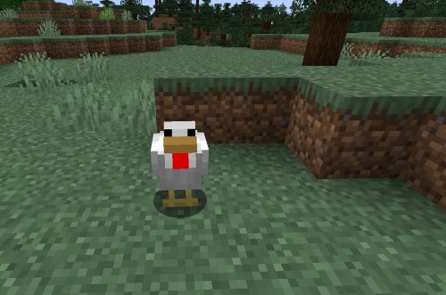 raising chickens in Minecraft